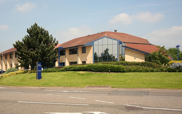 Grass, Plant, Tarmac