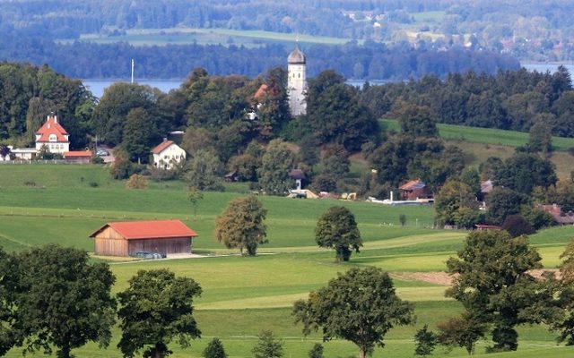 Outdoors, Field, Nature