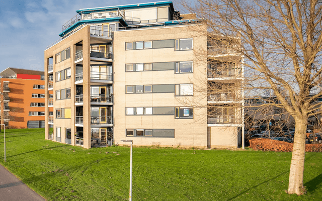 Grass, Plant, High Rise