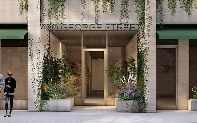 Plant, Potted Plant, City