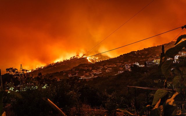 Fire, Forest Fire, Utility Pole