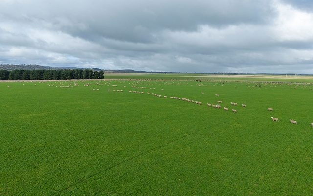 Field, Countryside, Farm